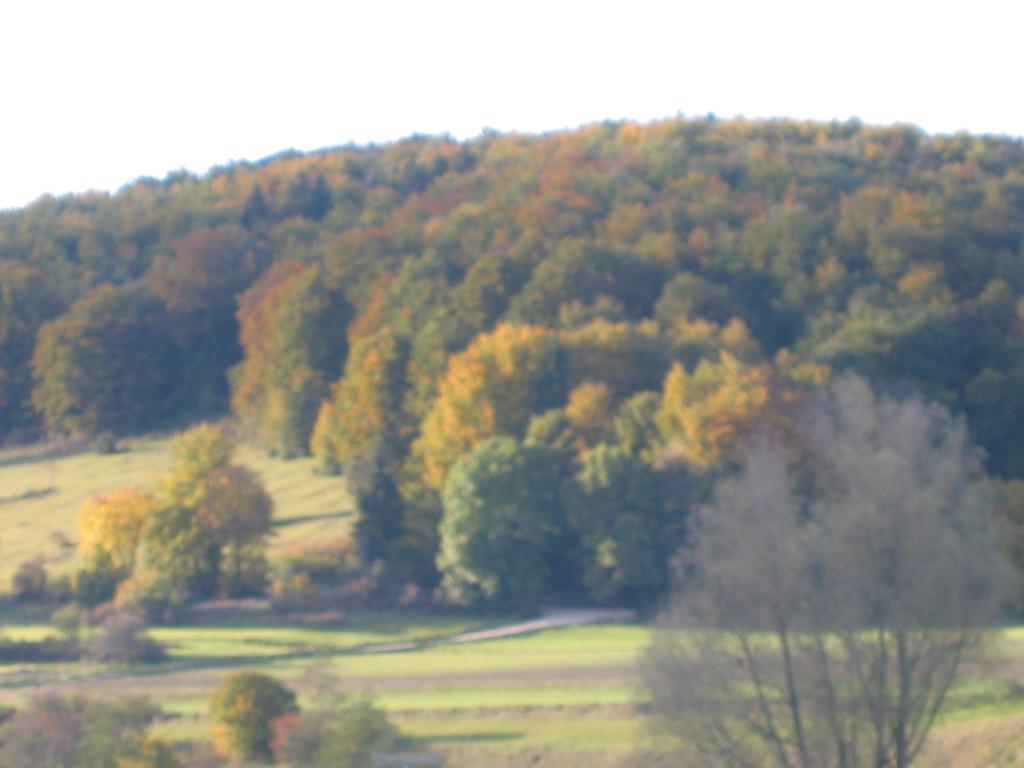 Gasthof Zum Lamm Gomadingen Екстер'єр фото